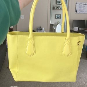 Dagne Dover classic tote